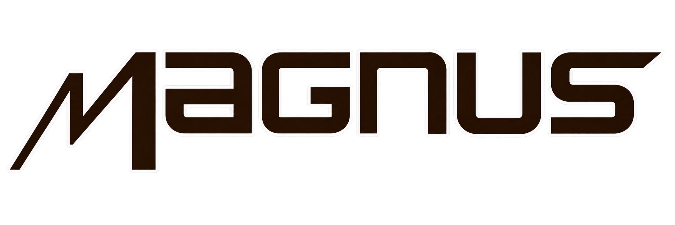 Magnus Marketing